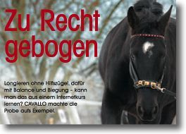 cavallo111