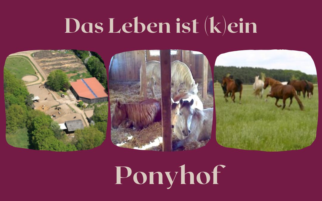 Der Pferdehof Teschen oder: es war einmal ein Ponyhof …