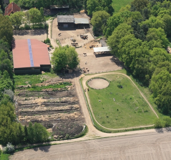 Hof von oben Luftaufnahme Ellringen