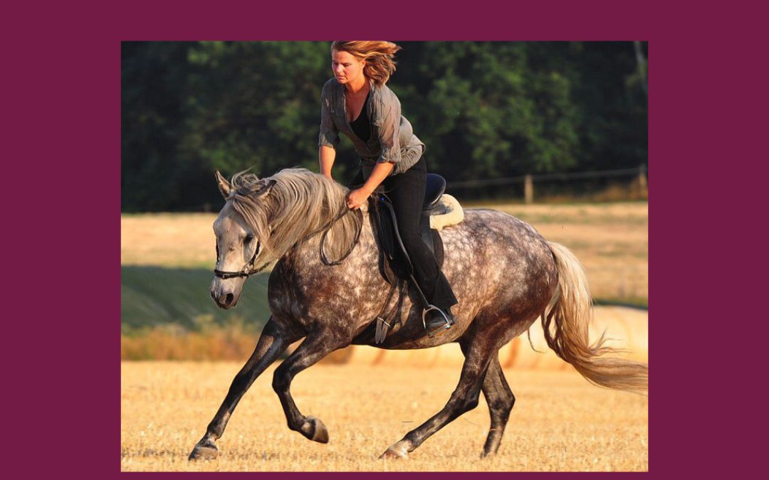 Wenn es so sein müsste, dann würde ich das Reiten sein lassen!