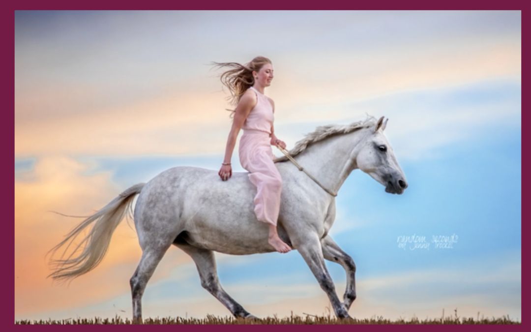Alina und Moonlight – ein Erfahrungsbericht zum Longenkurs