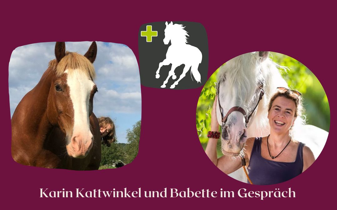 Ein Bericht, wie Karin dem Pferd Parker im akuten Notfall geholfen hat