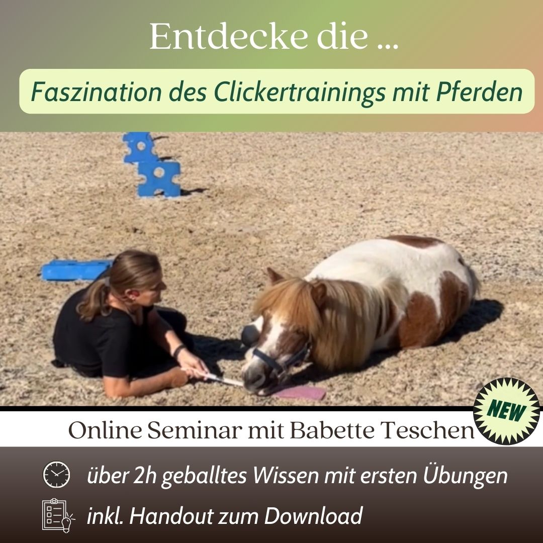 Digistore_IMG_Thumbnail2_Clickertraining