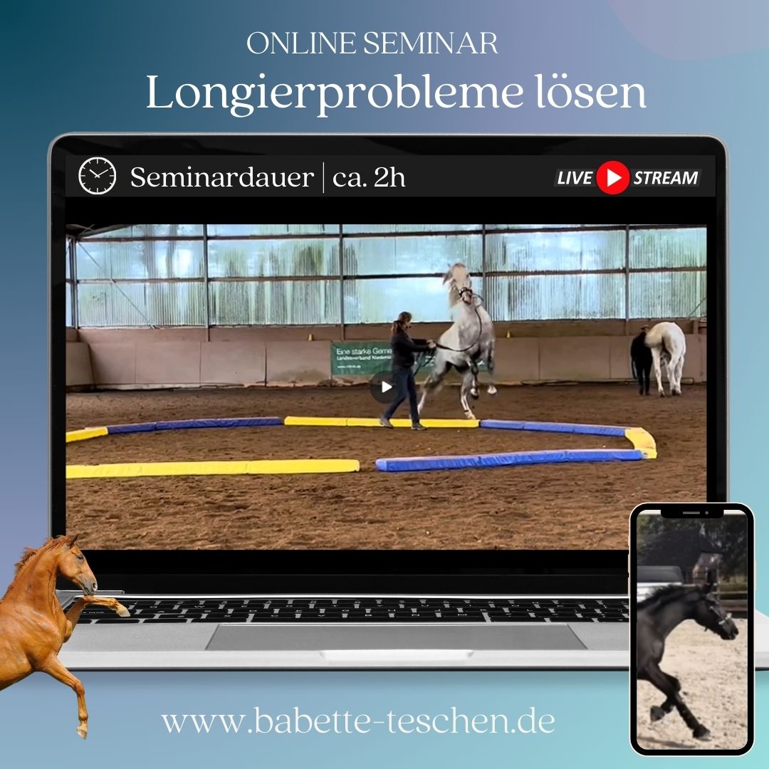 Digistore_IMG_Thumbnail_longierprobleme