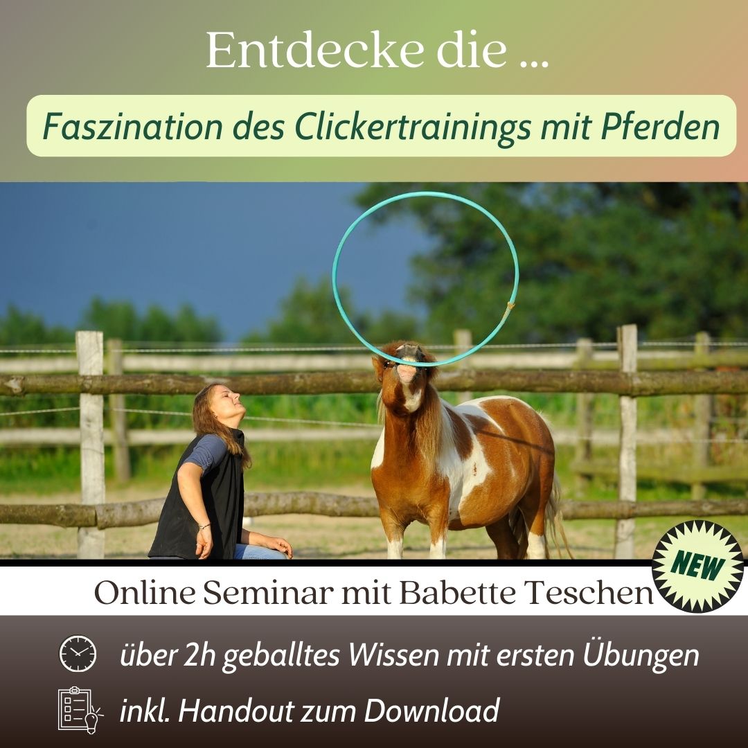 Session 7 Clicker ⏰ Replay | Einführung Clickertraining | Online Seminar