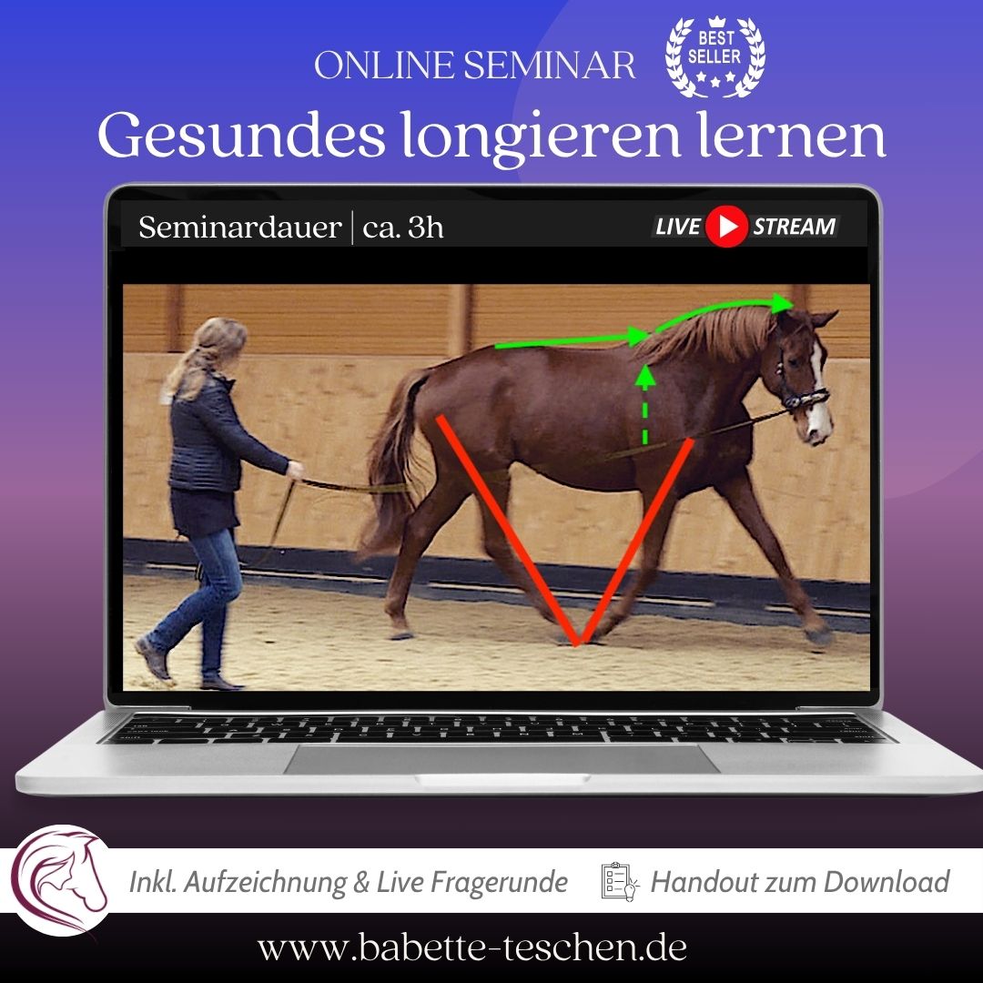 Digistore_IMG_Thumbnail2_Clickertraining