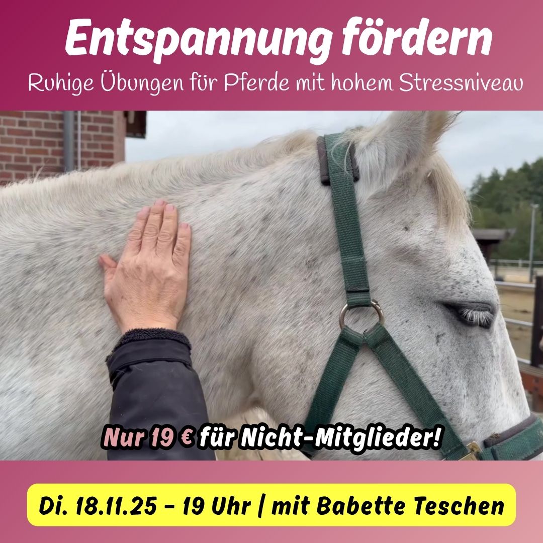 Digistore_IMG_Thumbnail2_Clickertraining