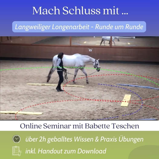 1:1 Bahnfiguren Longieren | Header