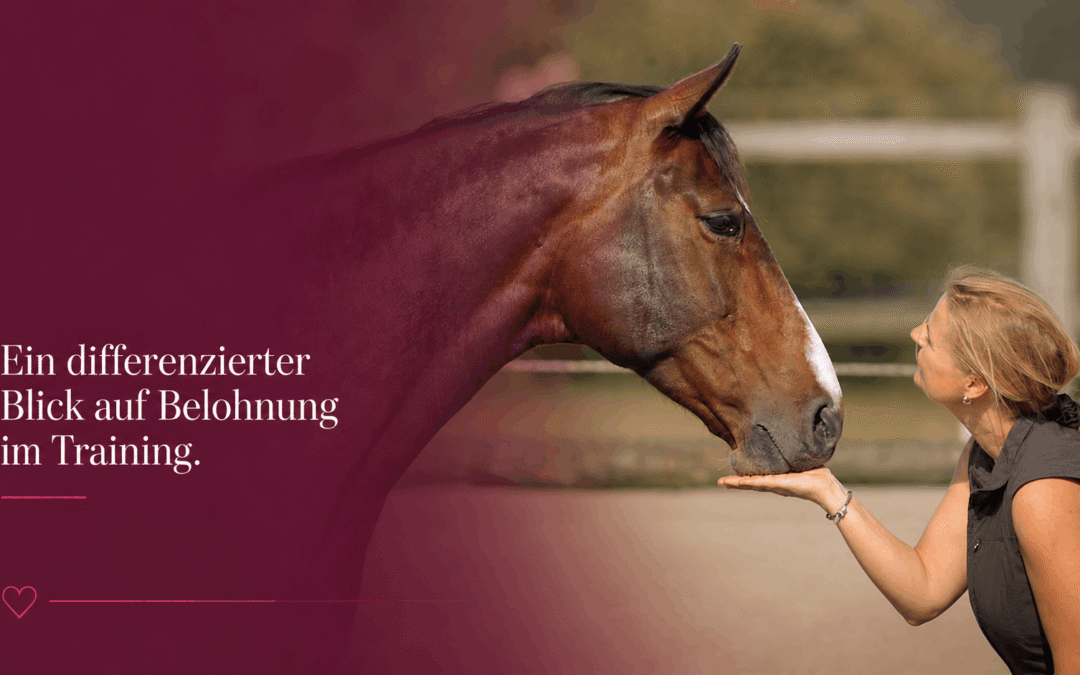 Futterlob im Pferdetraining – Motivation oder Bestechung?