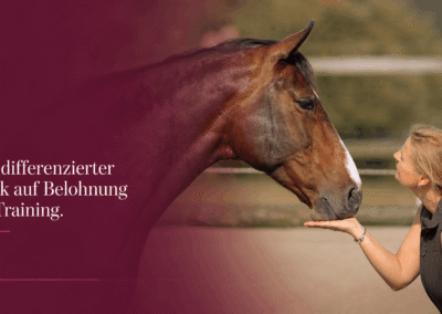 Futterlob im Pferdetraining – Motivation oder Bestechung?