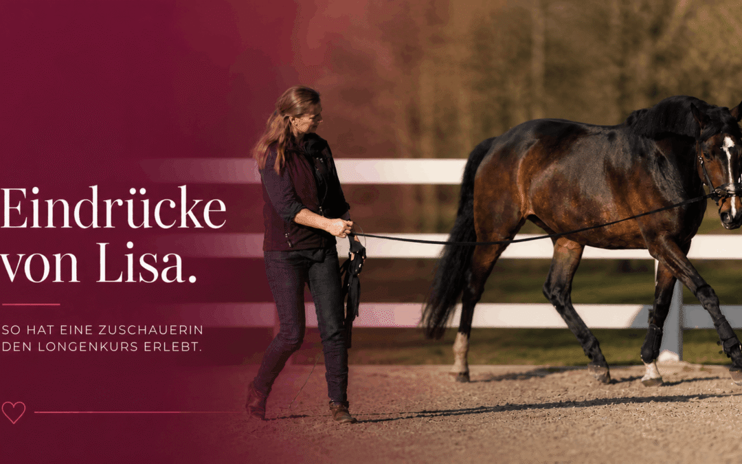 Header Praxiskurs